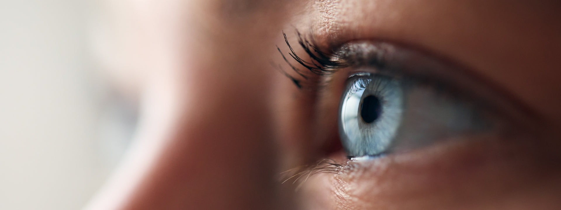 Close up photograph of a blue eye